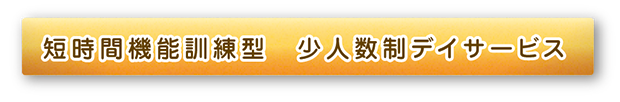短時間訓練型